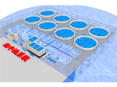 工厂化水产养殖循环水处理系统
