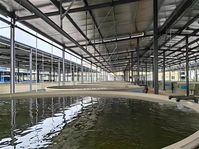 工厂化循环水养殖的发展趋势